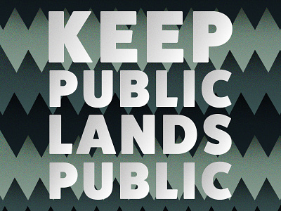 Keep Public Lands Public texture trees