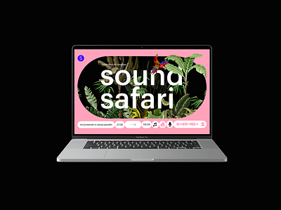 desktop bootcamp sound safari branding design graphic design web