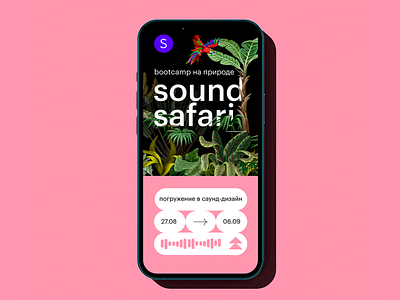 mobile bootcamp sound safari branding design graphic design web