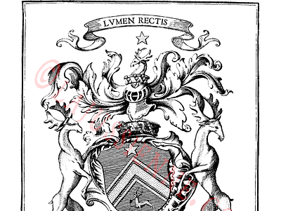 Ex-libris sur mesure bookplate design devise ex libris heraldic heraldry