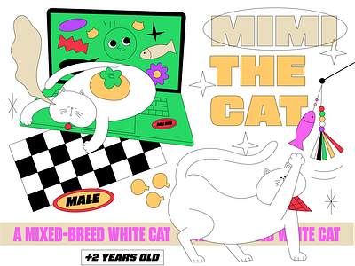 Mimi the cat #1