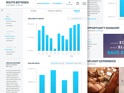 Flight Routes Dashboard blue charts clean dashboard data design flat flight graphs statistics travel ui