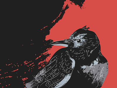 A Crow animal bird crow dark gothic illustration vector