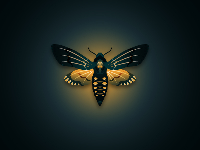 Deaths Head Moth Digital Art for Sale  Pixels