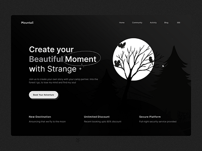 Web site: Landing page Mountail