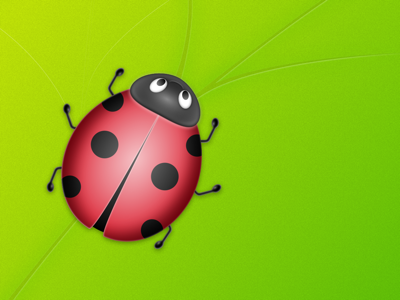 Ladybird for a children's party invitation .sketch green ladybird leaf sketch app
