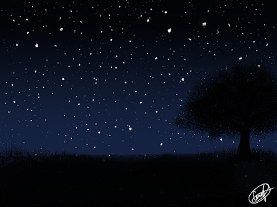 Night Sky design digital painting digitalart illustration