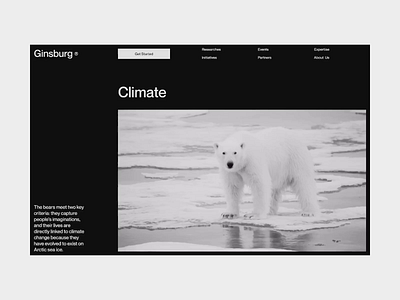 Ginsburg animation clean concept grid minimal motion responsive ui ux web website