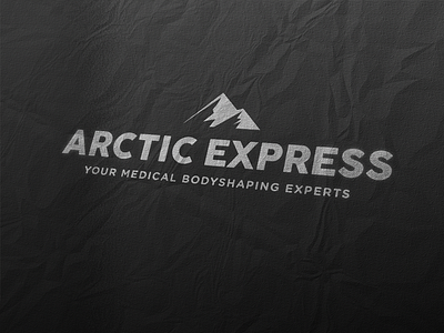 Arctic Express Logo ci logo