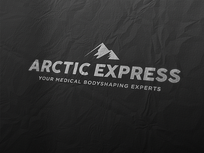 Arctic Express Logo