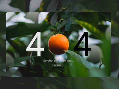 404 PAGE - Daily UI 008