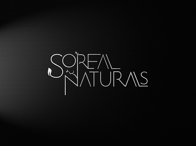 SOREAL NATURALS STEEL LOGO brand identity branding graphic design graphic designer logo logo design