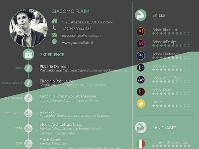 Resume - Curriculum Vitae