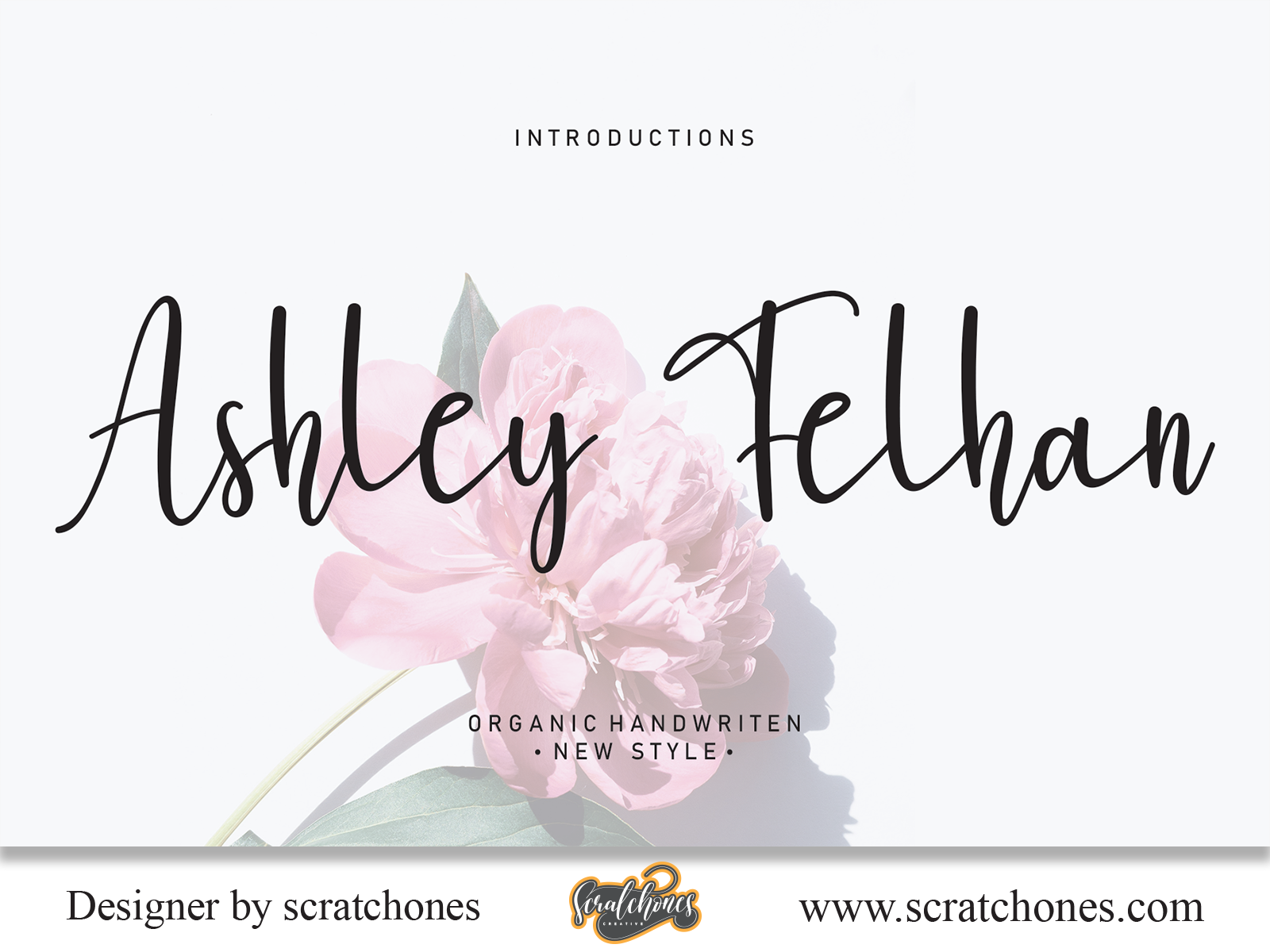 Ashley Felhan | Script-Handwriting Font by Scratchones_creative on Dribbble