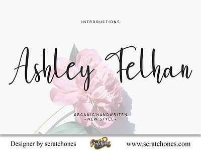 Ashley Felhan | Script-Handwriting Font branding brush font calligraphy dafont design download font free font hand writing handwriting handwritten illustration logo romantic font scratchones scratchones.com script vector wedding font