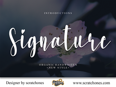 Signature | Script-Handwriting Font branding brush font calligraphy dafont design download font free font hand writing handwriting handwritten illustration logo romantic font scratchones scratchones.com script vector wedding font