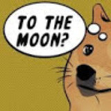 dogecoin dogecoin