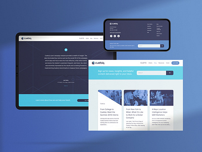 Cuebiq Brand Identity: Website