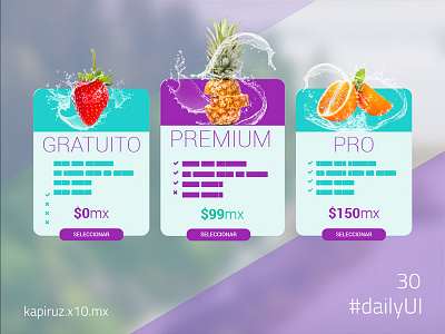 Pricing dailyui ui ux
