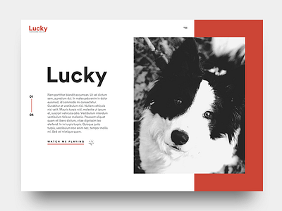 Lucky clean design dog minimal red ui ux webdesign white