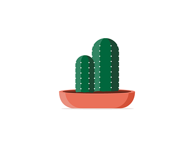 San Pedro Cactus