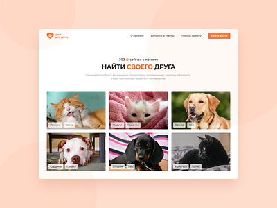Animal shelter branding clean design flat minimal typography ui ux web website