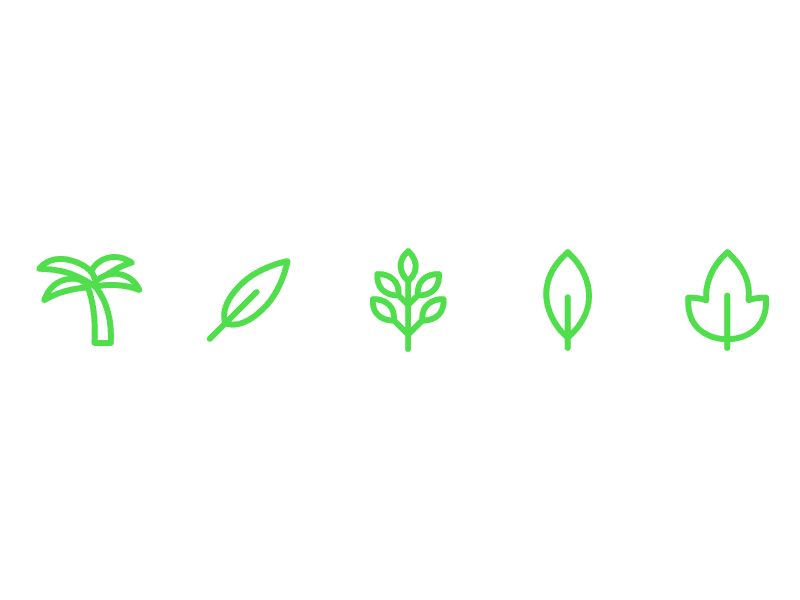 100 Nature Icons 🌵 + 880 more! flower green icon set icons leaf log mother nature nature plant storm tree wood