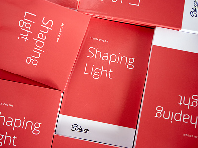 Shaping Light eBook