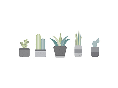 Succulents For Days greenery icons illustrator photoshop plants sidecar succulent texture