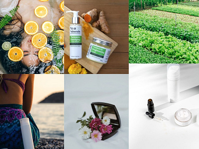 Moodboard for organic skincare brand branding