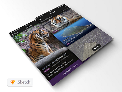 Atlas, Exploring the country animal archipelago atlas book feed freebies indonesia map mobile travel ui