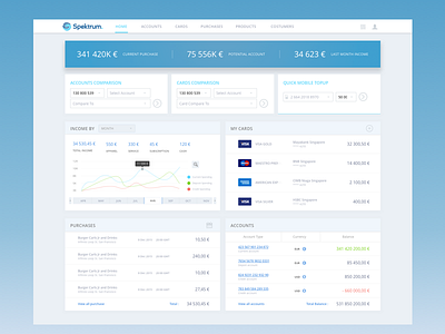 Ecommerce Dashboard