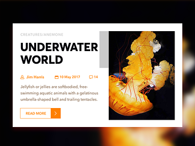 Blog Post - Day 035 035 blog dailyui day jellyfish magazine post posting read reading underwater