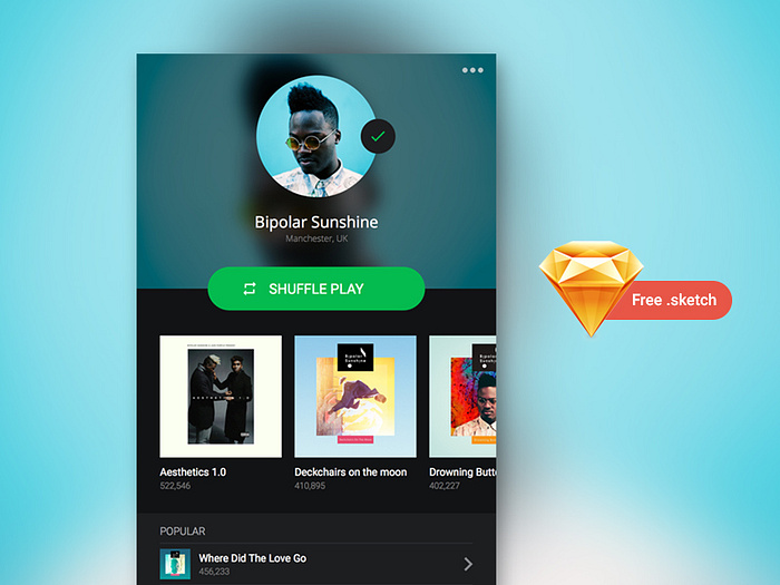 Spotify Profile - Freebie by Benoît Philibert on Dribbble