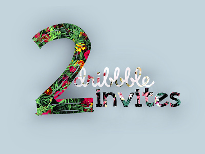 2 Dribbble Invites dribbble invitation invite portfolio