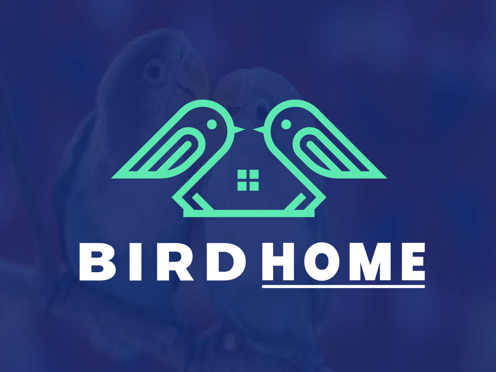 Bird Home Logo Design By Md Mansur Ali On Dribbble