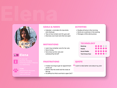 User Persona for an Online Veterinary design ux