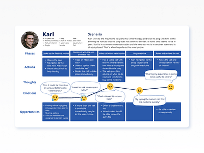 Journey Map for an Online Veterinary App