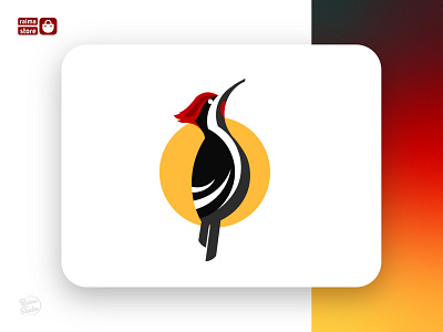 Woodpecker branding design graphic design icon illustration logo logodesign minimal pictorial logo vector