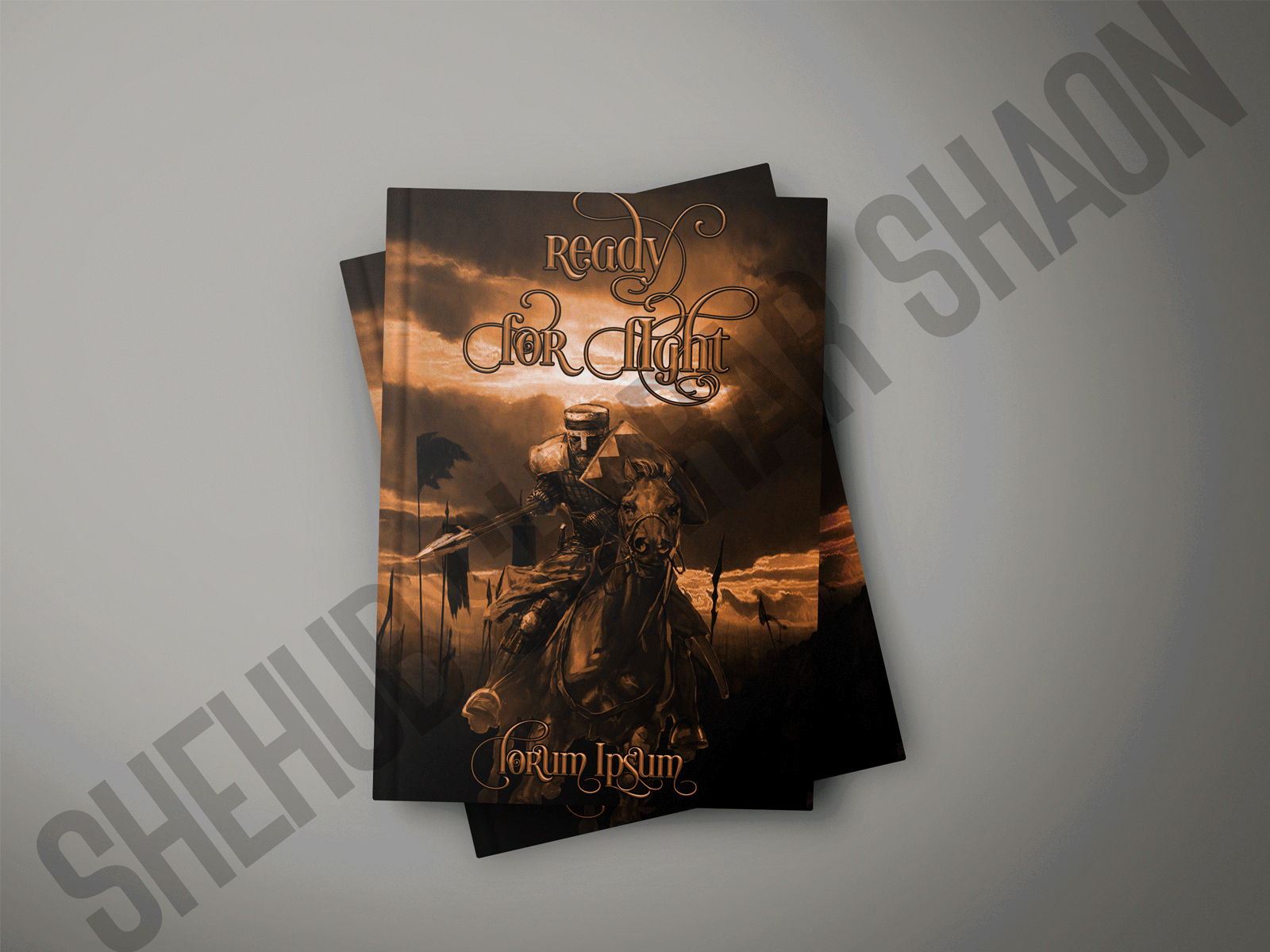 READY FOR FIGHT book book cover design bookbranding bookish branding cover cover design design digital artwork ebook ebook cover ebook cover design fantasy book cover graphic design photo editing photo manipulation photo retouch professional selfpub selfpublishing