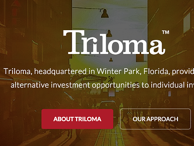 Triloma brand strategy branding corporate identity design landing page logo design triloma ui design ux design