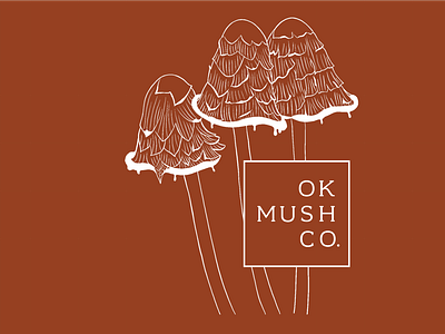 OK Mush CO branding design