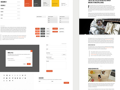 Styleguide Progress color components icons images sketch styleguide typography ui ux