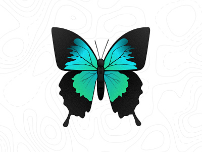 Butterfly affinity designer bugs butterfly creatures fun illustration pattern