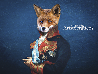 Fox adobe photoshop design fotomontaje graphic design photomontage