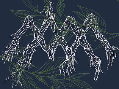 Album Art album art botanical illustration leaves nature roots trees