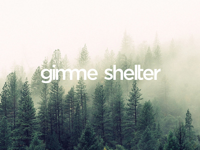 gimme shelter architecture forest illustrator logo logodesign natur vector wood