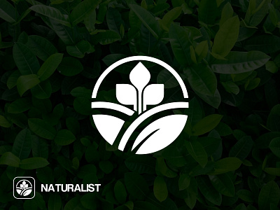 NATURAL LOGO DESIGN | MINIMALIST LOGO brand identity creative logo design flat logo leaf logo leaf natural logo logo logo design minimal leaf logo minimal logo minimalist logo modern logo natural icon natural logo professional logo