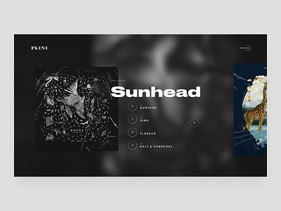 Plini - Music Artist 01 app app design art artist band music music app music player musician player player ui showcase