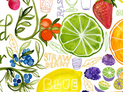 Fruit Infused Water Illustrated Recipe and color fruit hand illustration ink lettering mitzie pen testani water